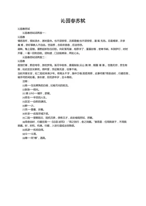 沁园春苏轼