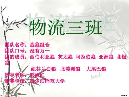 安吉汽车物流案例