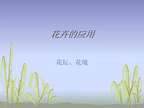 花卉应用---花坛花境
