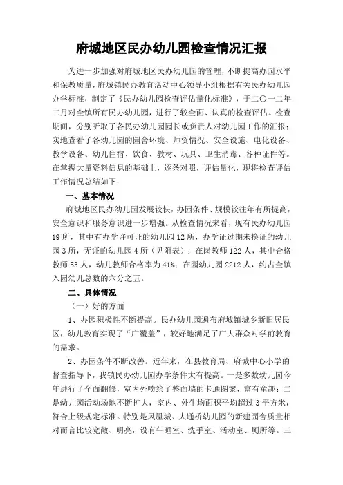 民办幼儿园检查报告