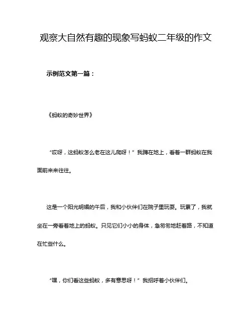 观察大自然有趣的现象写蚂蚁二年级的作文