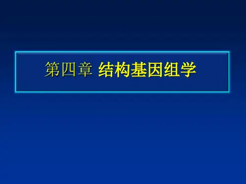 4结构基因组学讲述