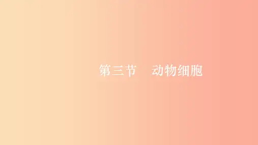 七年级生物上册2.1.3动物细胞课件 新人教版