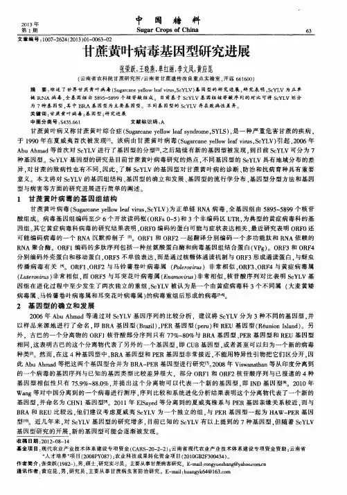 甘蔗黄叶病毒基因型研究进展