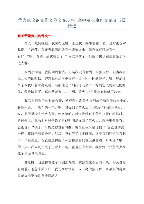 萤火虫议论文作文范文800字_高中萤火虫作文范文五篇精选