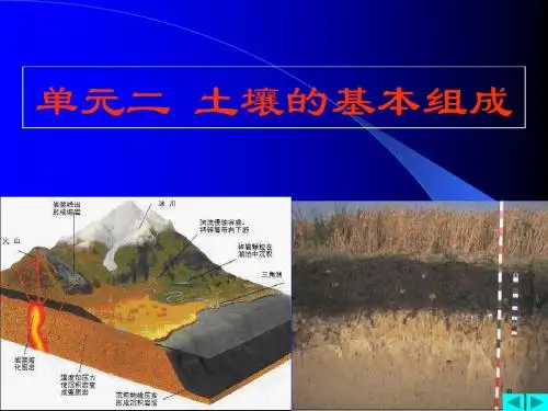 土壤的基本组成
