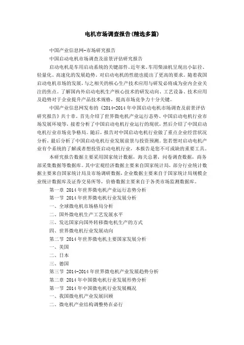电机市场调查报告(精选多篇)