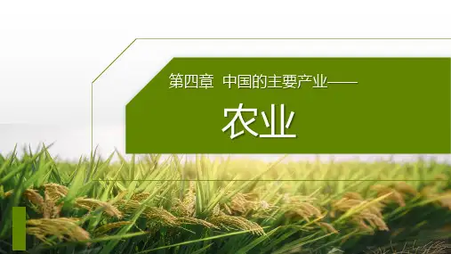 4.1  农业 课件(共26张PPT)湘教版八年级地理上册课件