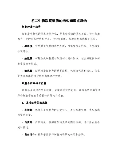 初二生物观察细胞的结构知识点归纳 生物观察细胞的结构思维导图