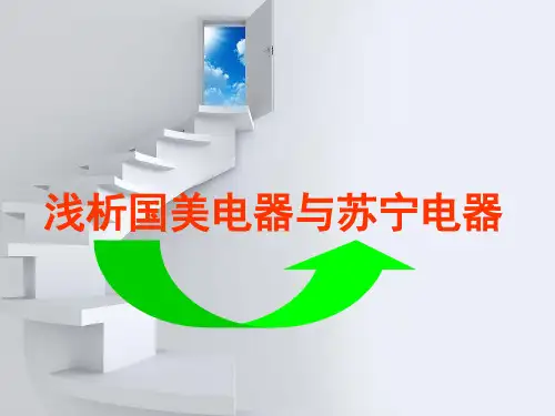 国美电器与苏宁电器