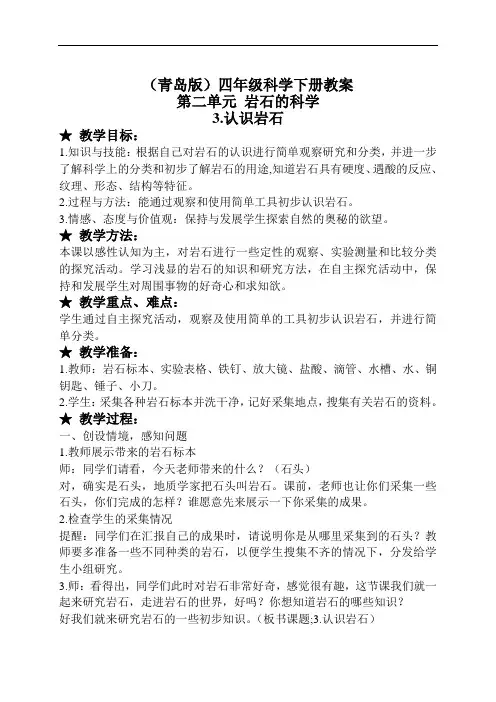 《认识岩石》教案