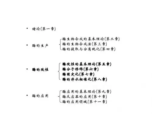 酶工程学-第七-十周酶改性理论