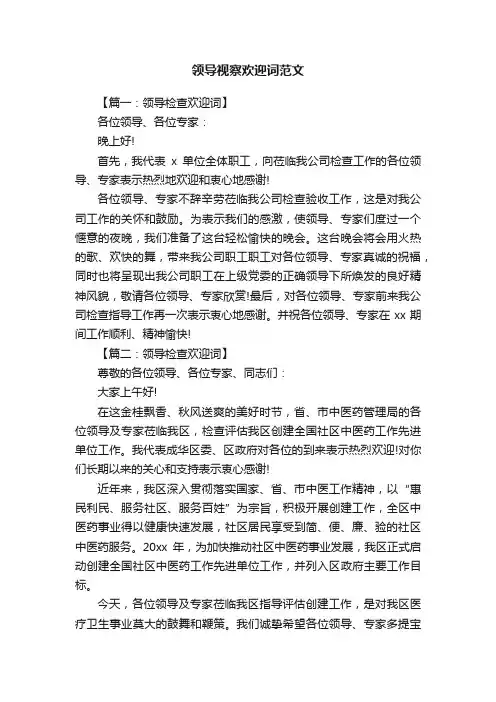 领导视察欢迎词范文