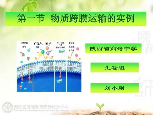 4.1 物质跨膜运输的实例
