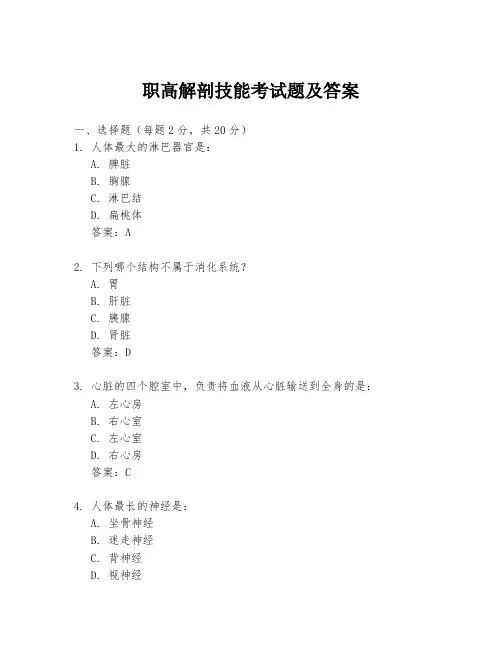 职高解剖技能考试题及答案