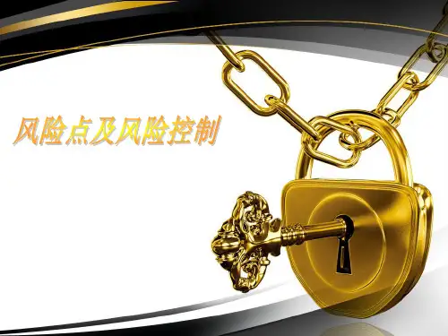 担保公司全程风险点及风险控制