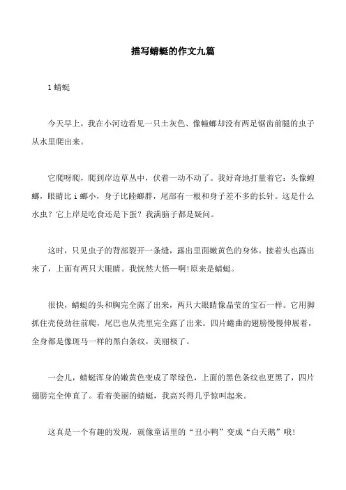 描写蜻蜓的作文九篇