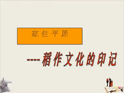 人教版七年级历史与社会上册 3.稻作文化的印记(共19张PPT)_2
