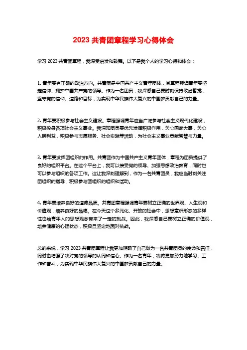 2023共青团章程学习心得体会