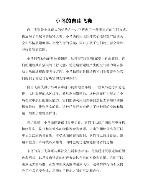 小鸟的自由飞翔
