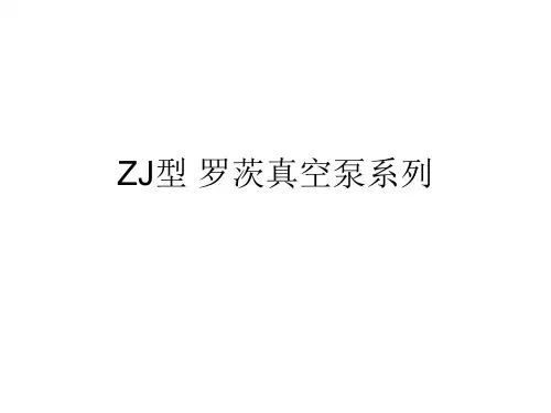 ZJ型 罗茨真空泵系