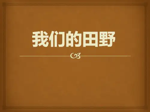《我们的田野》PPT课件4