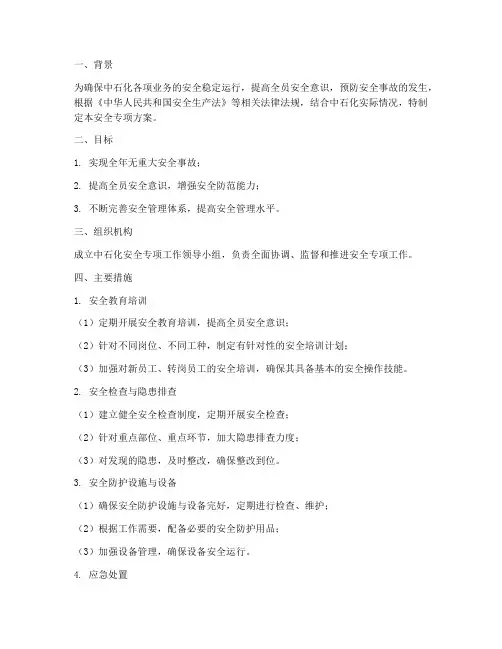 中石化安全专项方案