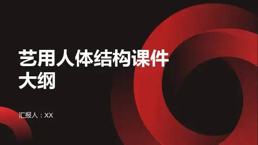 艺用人体结构-课件-