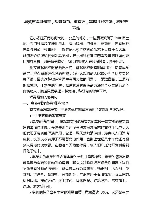 皂荚树浑身是宝，却难育苗、难管理，掌握4种方法，种好并不难