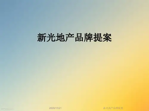 新光地产品牌提案