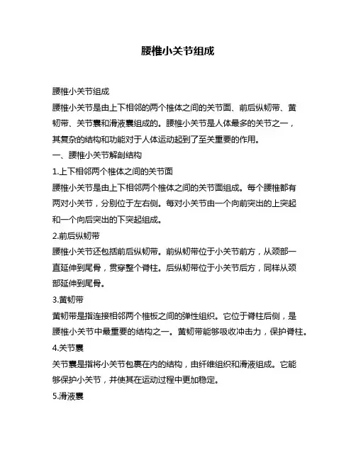 腰椎小关节组成