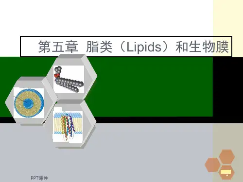 脂类和生物膜  ppt课件