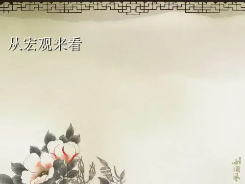 遥感技术导论卫星遥感及其影像PPT.