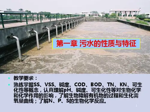 污水的性质与特征PPT课件
