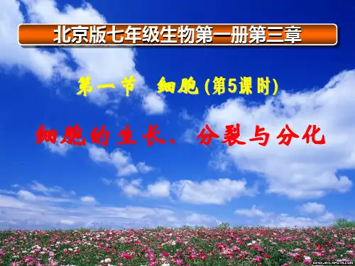 细胞的生长、分裂与分化说课稿