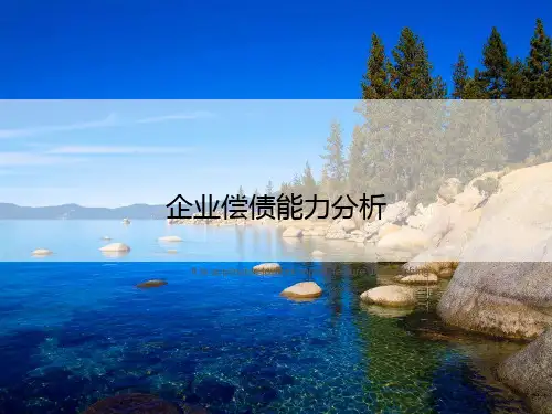 企业偿债能力分析