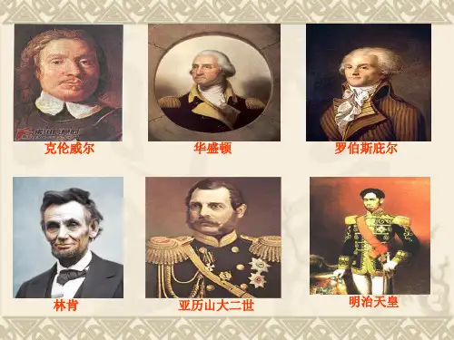 专题复习：近代世界主要国家的资产阶级革命和改革讲述