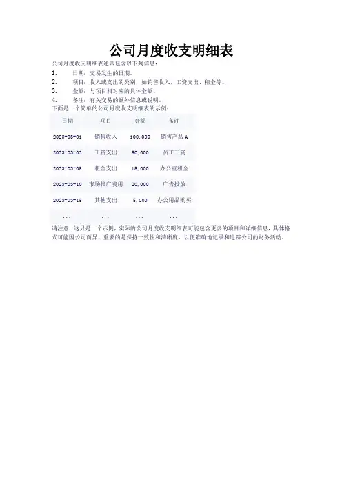 公司月度收支明细表