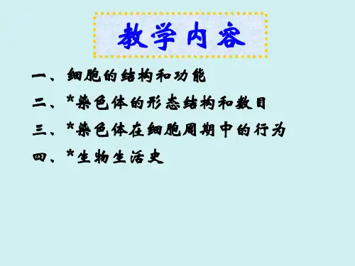 遗传学2 第二章 遗传的细胞学基础