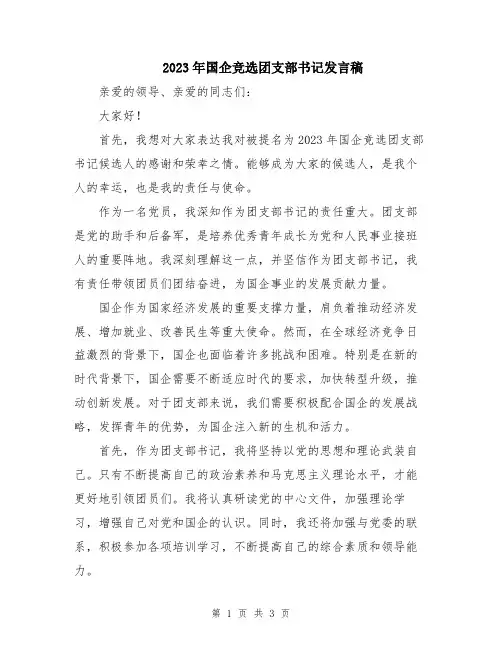 2023年国企竞选团支部书记发言稿