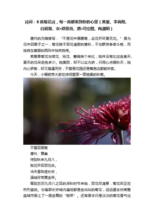 诗词：6首菊花诗，每一首都美到你的心里（黄巢、李商隐、白居易、宋·郑思肖、唐·司空图、陶渊明）
