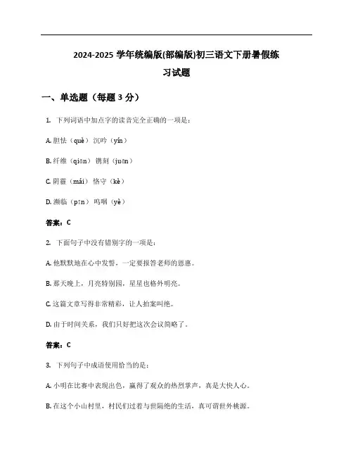 2024-2025学年统编版(部编版)初三语文下册暑假练习试题及答案