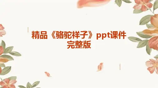 2024精品《骆驼祥子》ppt课件完整版