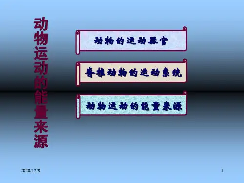 16.2 动物运动的能量来源(第2课时)PPT优质课件
