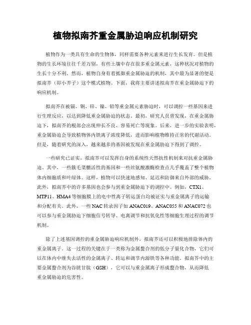 植物拟南芥重金属胁迫响应机制研究