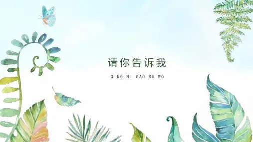 湖南美术出版社小学二年级美术上册《请你告诉我》基于标准的教学课件