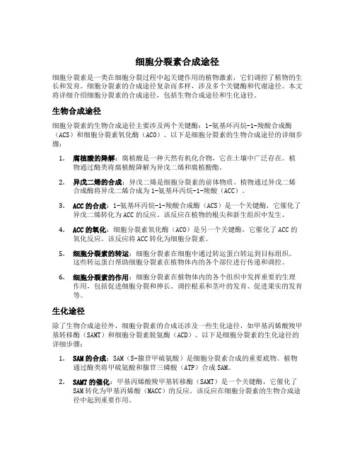 细胞分裂素合成途径