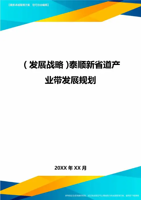 (发展战略)泰顺新省道产业带发展规划最全版