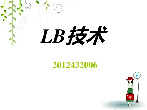 LB技术