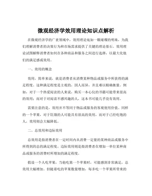 微观经济学效用理论知识点解析